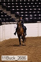 11buck_2686 thumbnail