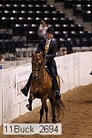 11buck_2694 thumbnail