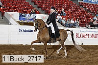 11buck_2717 thumbnail