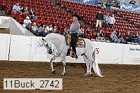 11buck_2742 thumbnail