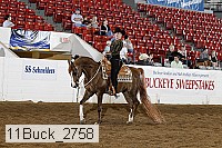 11buck_2758 thumbnail