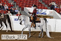 11buck_2772 thumbnail