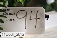 11buck_2812 thumbnail