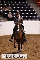 11buck_2823 thumbnail