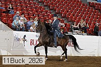 11buck_2826 thumbnail