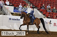11buck_2951 thumbnail