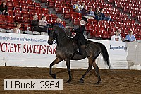 11buck_2954 thumbnail