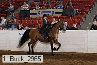 11buck_2965 thumbnail