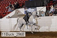 11buck_2968 thumbnail