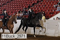 11buck_2971 thumbnail