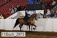 11buck_2973 thumbnail