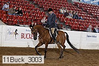 11buck_3003 thumbnail