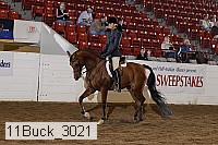 11buck_3021 thumbnail