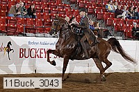 11buck_3043 thumbnail