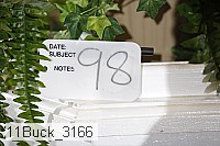 11buck_3166 thumbnail