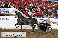 11buck_3224 thumbnail
