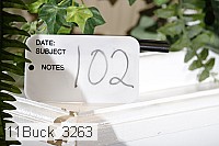 11buck_3263 thumbnail