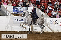 11buck_3311 thumbnail