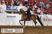 11buck_3312 thumbnail