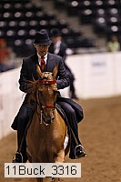 11buck_3316 thumbnail
