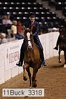 11buck_3318 thumbnail