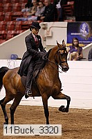 11buck_3320 thumbnail