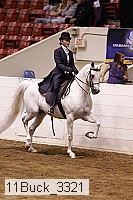 11buck_3321 thumbnail