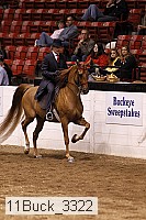 11buck_3322 thumbnail