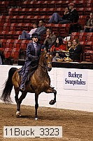 11buck_3323 thumbnail