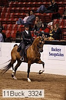 11buck_3324 thumbnail
