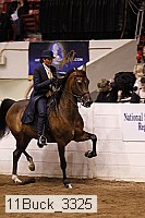 11buck_3325 thumbnail