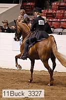 11buck_3327 thumbnail