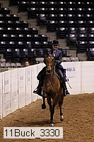 11buck_3330 thumbnail