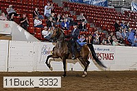 11buck_3332 thumbnail