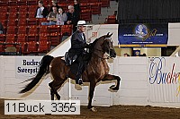 11buck_3355 thumbnail