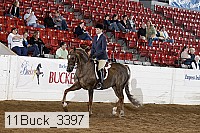 11buck_3397 thumbnail