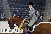 11buck_3412 thumbnail