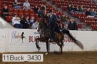 11buck_3430 thumbnail