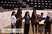 11buck_3586 thumbnail