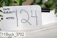 11buck_3702 thumbnail