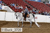 11buck_3709 thumbnail