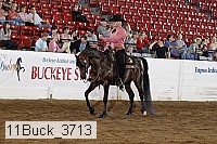 11buck_3713 thumbnail