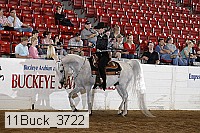 11buck_3722 thumbnail