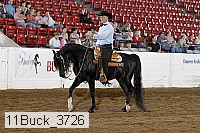 11buck_3726 thumbnail