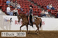 11buck_3839 thumbnail