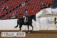 11buck_4059 thumbnail