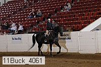 11buck_4061 thumbnail