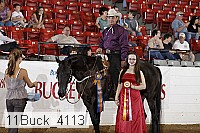 11buck_4113 thumbnail