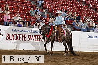 11buck_4130 thumbnail
