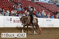 11buck_4242 thumbnail